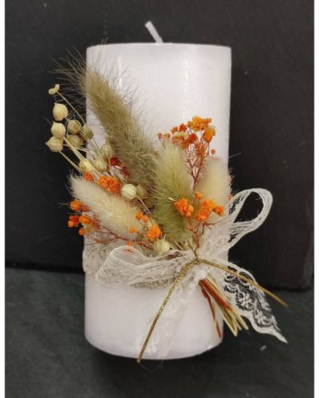 2  β  κερι λευκο αποξυραμενα (1)